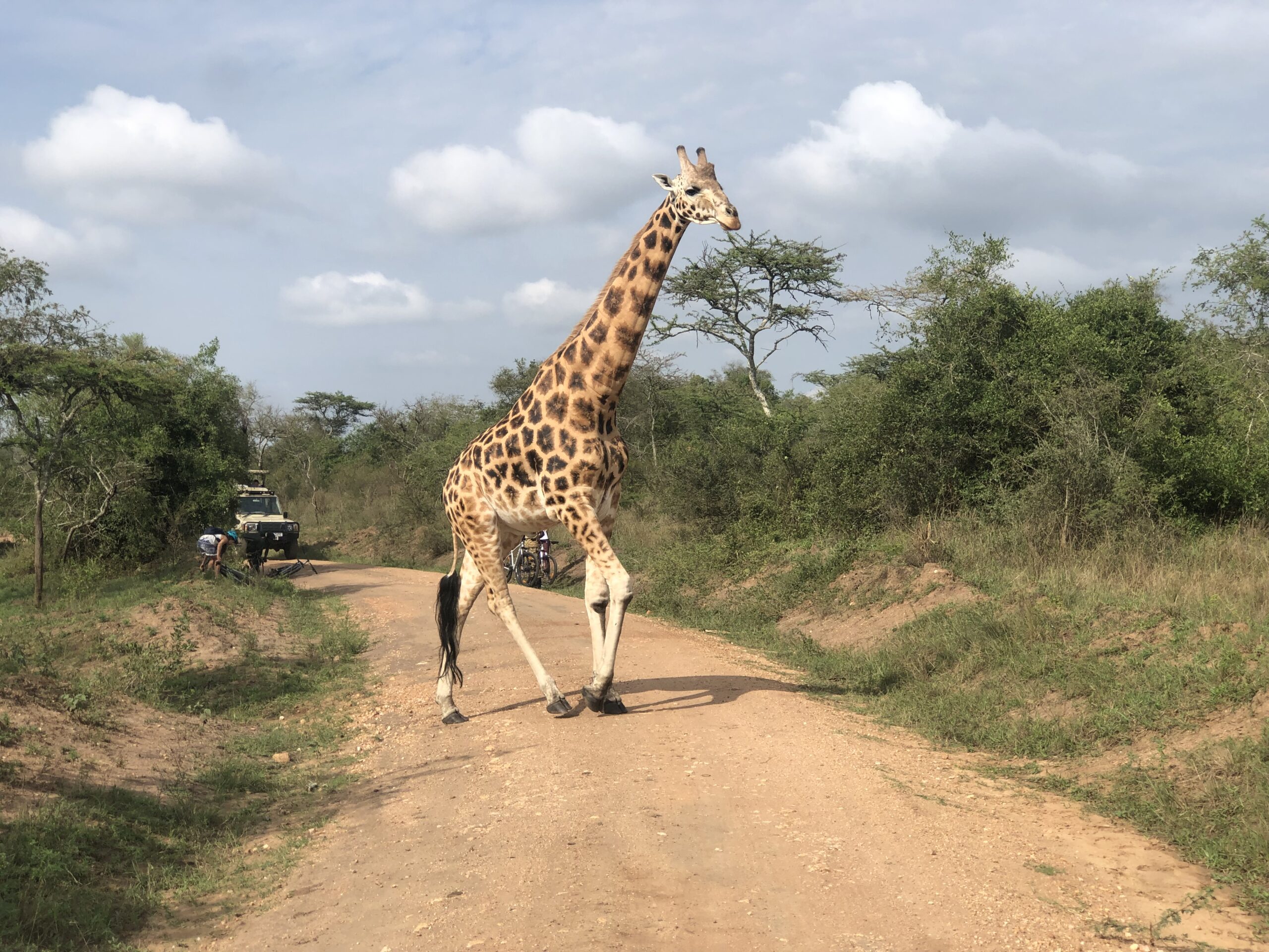 East Africa